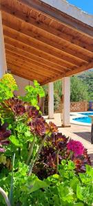 The swimming pool at or close to Montana Retreat