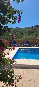 The swimming pool at or close to Montana Retreat