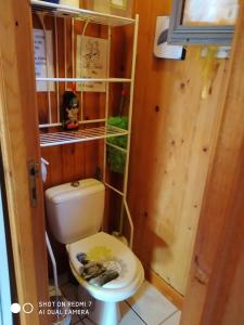 Koupelna v ubytování Chalet Camping Les Vignes