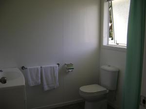 a bathroom with a toilet and a sink and a window at Mataki Motel in Murchison