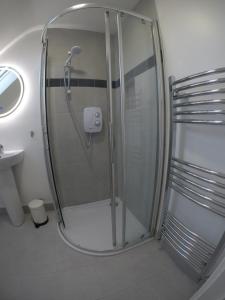 a shower with a glass door in a bathroom at Seagull Cottage B&B in Portmagee