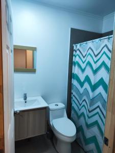 uma casa de banho com um WC, um lavatório e uma cortina de chuveiro em Hostal Entre Los Lagos em Villarrica