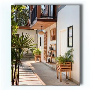 ein Haus mit zwei Bänken und Pflanzen auf einem Bürgersteig in der Unterkunft The Reef Hotel & Studios in Ko Lipe