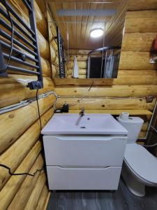 La salle de bains est pourvue d'un lavabo blanc et de toilettes. dans l'établissement БЕРЕЗИНИ, 