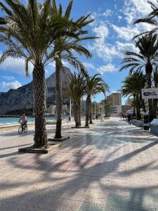 a row of palm trees on a sidewalk next to the beach at Apartament Mariola in Calpe