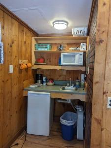 a small kitchen with a sink and a microwave at Stay Twin Lakes Cabin 4 in Twin Lakes