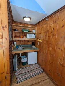 eine Küche mit einer Theke und einem Waschbecken in einem Zimmer in der Unterkunft Stay Twin Lakes Cabin 3 in Twin Lakes