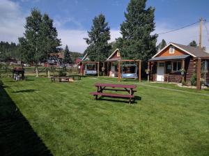 einen Park mit Picknicktischen im Gras in der Unterkunft Stay Twin Lakes Cabin 3 in Twin Lakes