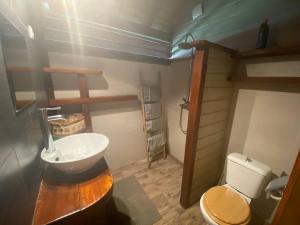 a bathroom with a sink and a toilet at Bungalow Ti Zaboka in Les Abymes