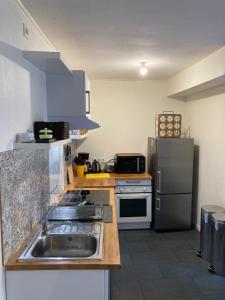 uma cozinha com um lavatório e um frigorífico de aço inoxidável em Marie Louise em Montreuil