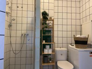 un baño con inodoro y ducha en Kredytowa and Mazowiecka street Super Quiet Private Apartment in Center, en Varsovia