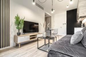 a living room with a couch and a flat screen tv at Apartamenty Shellter Rogowo - ALL DAY HOLIDAY in Rogowo