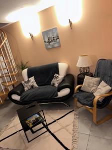 un soggiorno con divano nero e sedia di Gîte la grande racinaie a Cré-sur-Loir