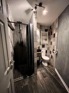 a bathroom with a shower and a toilet at Studio G1 in Moineşti