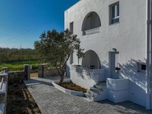 uma casa branca com uma árvore em frente em Oliva Naxos Apartments em Naxos Chora