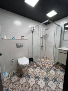 a bathroom with a shower and a toilet at NENEHATUN59 BUTİK OTEL in Ankara