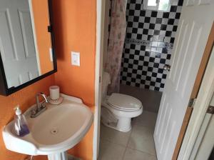 a bathroom with a sink and a toilet at Cabañas Hacienda Ridvan in Aguascalientes