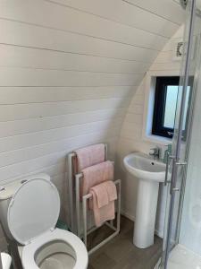 a bathroom with a toilet and a sink at Gaoth na Mara pod in Doolin