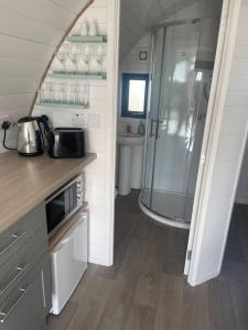 a kitchen with a sink and a shower in a trailer at Gaoth na Mara pod in Doolin