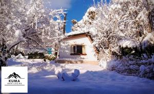 dom pokryty śniegiem przed drzewami w obiekcie Cabaña con Vista al Lago en Barrio Melipal - Bariloche w mieście Bariloche