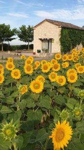Vonkajšia záhrada v ubytovaní la cabane du vigneron