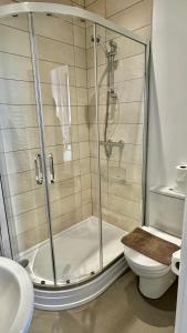 a bathroom with a shower and a toilet at Andorra Guest Accommodation in Brighton & Hove