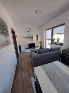 salon z kanapą i telewizorem w obiekcie Apartmaji Tisa in Žana w mieście Rovte