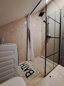 a small bathroom with a shower and a toilet at Apartmaji Tisa in Žana in Rovte