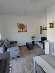 - un salon avec un canapé et une table dans l'établissement Apartmaji Tisa in Žana, à Rovte