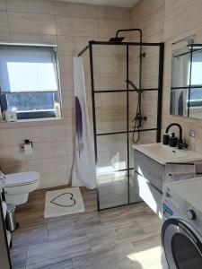 Rovte的住宿－Apartmaji Tisa in Žana，带淋浴、卫生间和盥洗盆的浴室