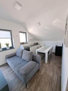 Oleskelutila majoituspaikassa Apartmaji Tisa in Žana