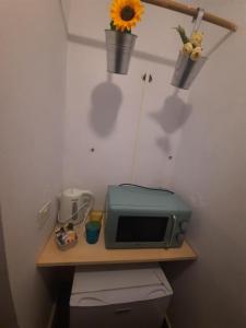 a table with a microwave on top of a toilet at Mi Placer in Valverde