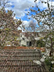 a house with flowering trees in front of it at Belle F2 centre ville Massy avec jardin in Massy