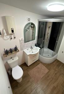 a bathroom with a toilet and a sink and a shower at Domek pod brzozami in Brodnica