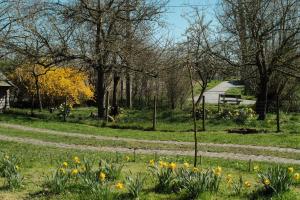 un chemin à travers un parc avec des fleurs dans l'herbe dans l'établissement in Den Akker, à Audenarde