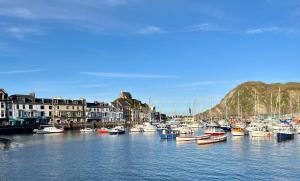 a bunch of boats are docked in a harbor at Ocean View in Ilfracombe