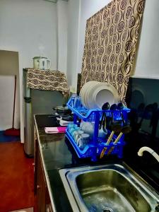 康提的住宿－Kandy River Reach -Home Stay，厨房水槽旁的碗碟干燥架