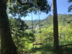 une balançoire suspendue à un arbre dans un champ dans l'établissement Refúgio, Aconchego, Aonde nasce o sol e Cachoeira!, à Mercês