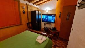 a bedroom with a green bed and a television at Apartamento Acogedor en el Retiro in El Retiro