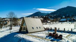 a group of people sitting outside of a small house in the snow at A-Frame 7 CRESTE in Borşa
