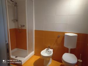 uma casa de banho com um WC e um chuveiro em B&B Valle Orco em Sparone