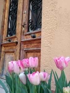 a bunch of pink tulips in front of a door at al porticciolo in Trieste