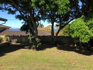 a yard with a fence and a tree at The Starfish Cottage in Scottburgh