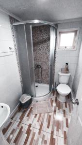 a bathroom with a shower and a toilet and a sink at Departamento Kran in Punta Arenas