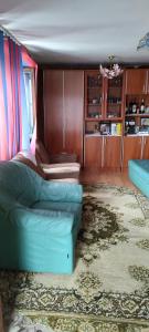 sala de estar con sofá y alfombra en Guesthouse Sjenicic, en Guča
