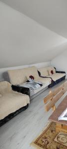 庫察的住宿－Guesthouse Sjenicic，两张睡床位于一间房间内的地板上