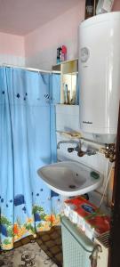 庫察的住宿－Guesthouse Sjenicic，一间带水槽和淋浴帘的浴室