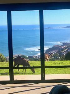 Garden Route spectacular view over Indian Ocean, Brenton-on-Sea – ceny  aktualizovány 2023