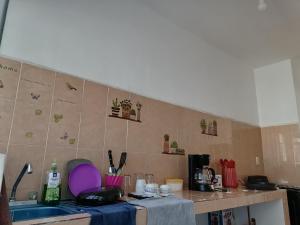 cocina con fregadero y encimera en Casa D vacaciones/negocios/WiFi/CableTV/2Estaciona, en Tuxtla Gutiérrez