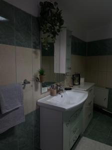 een badkamer met een witte wastafel en een douche bij Vila CCC in Oradea